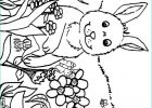 Printemps Dessin Impressionnant Images Coloriage De Printemps Dessin Lapin Dans Un Champ Au