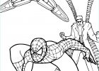 Superman Et Spiderman Coloriage Beau Galerie Coloriage Spiderman Et Docteur Octopus à Imprimer Sur