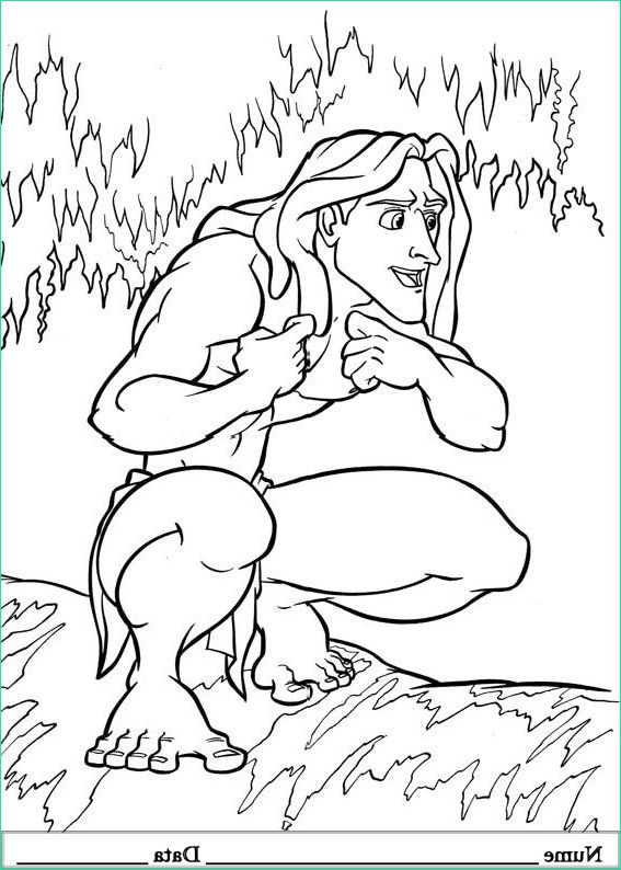Tarzan Coloriage Bestof Images Tarzan Planse De Colorat Si Educative