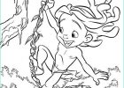 Tarzan Coloriage Élégant Photographie Kids N Fun