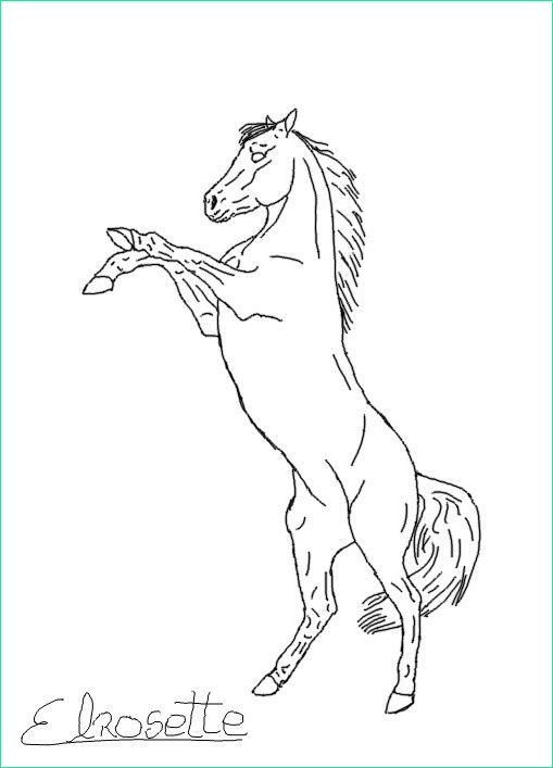 11 luxe de dessin a imprimer cheval collection