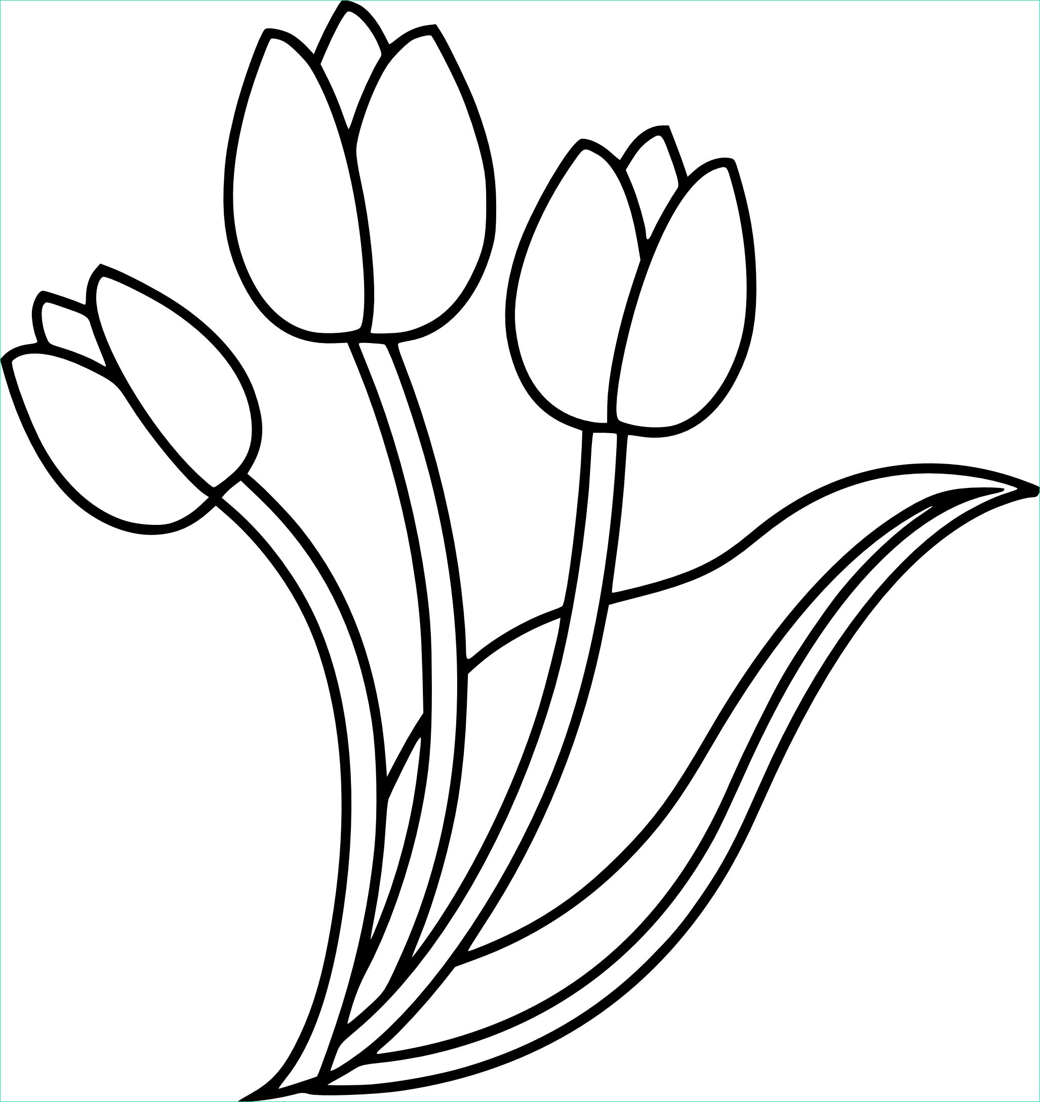 Coloriage Tulipe Beau Galerie Coloriage Tulipe à Imprimer