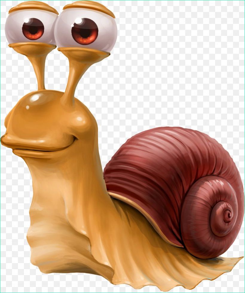 Dessin Animé Escargot Beau Galerie Escargot Snail Caracol Png 3040x3636px Escargot Caracol