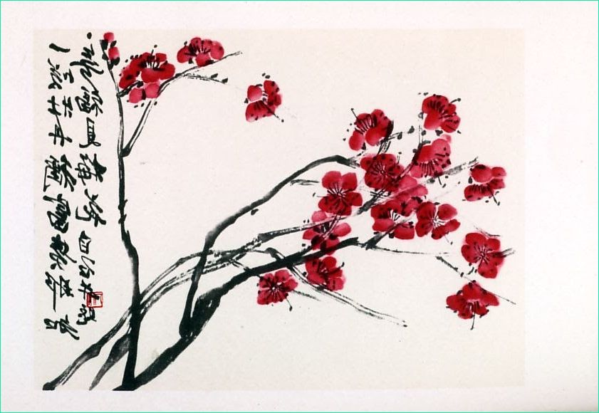 fleurs japonaises dessin estampe