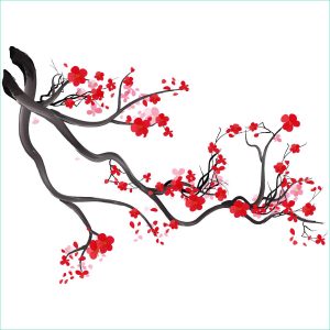 Dessin Fleurs Japonaises Inspirant Stock Branche De Cerisier Japonais Du Japon Et Des Fleurs