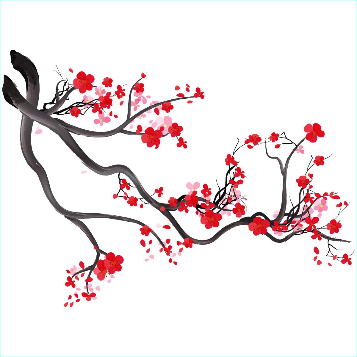 branche de cerisier japonais