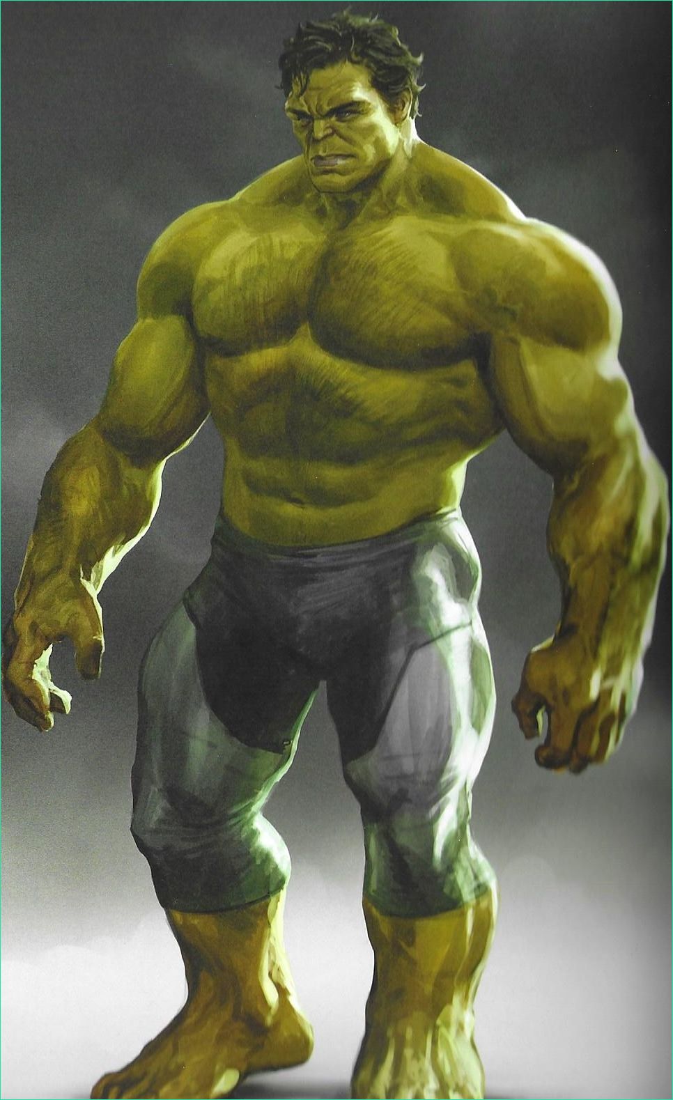 Hulk Dessin Animé Beau Images Hulk Gordo Related Keywords and Suggestions Hulk Gordo Long