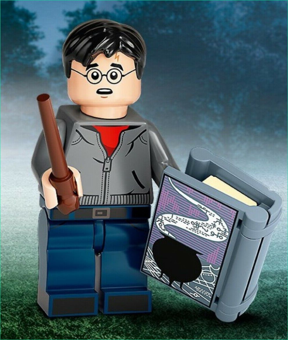 Lego Harry Potter : Années 5 à 7 Beau Image In Hand Brand New Lego Harry Potter Series