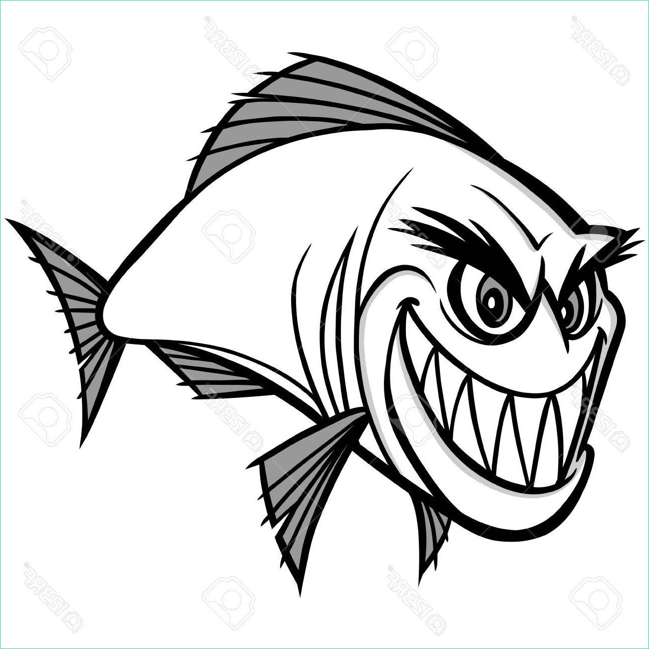 piranha drawing