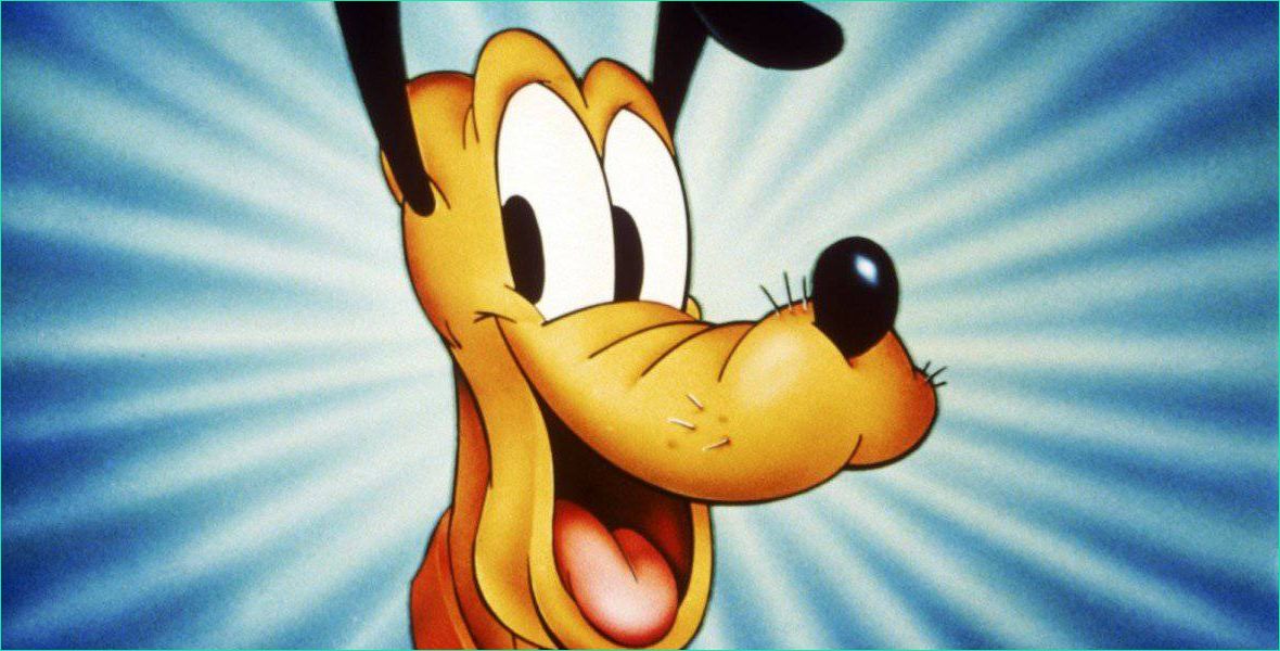 Pluto Disney Bestof Collection Fun Facts About Walt Disney S Pluto Disney Dining