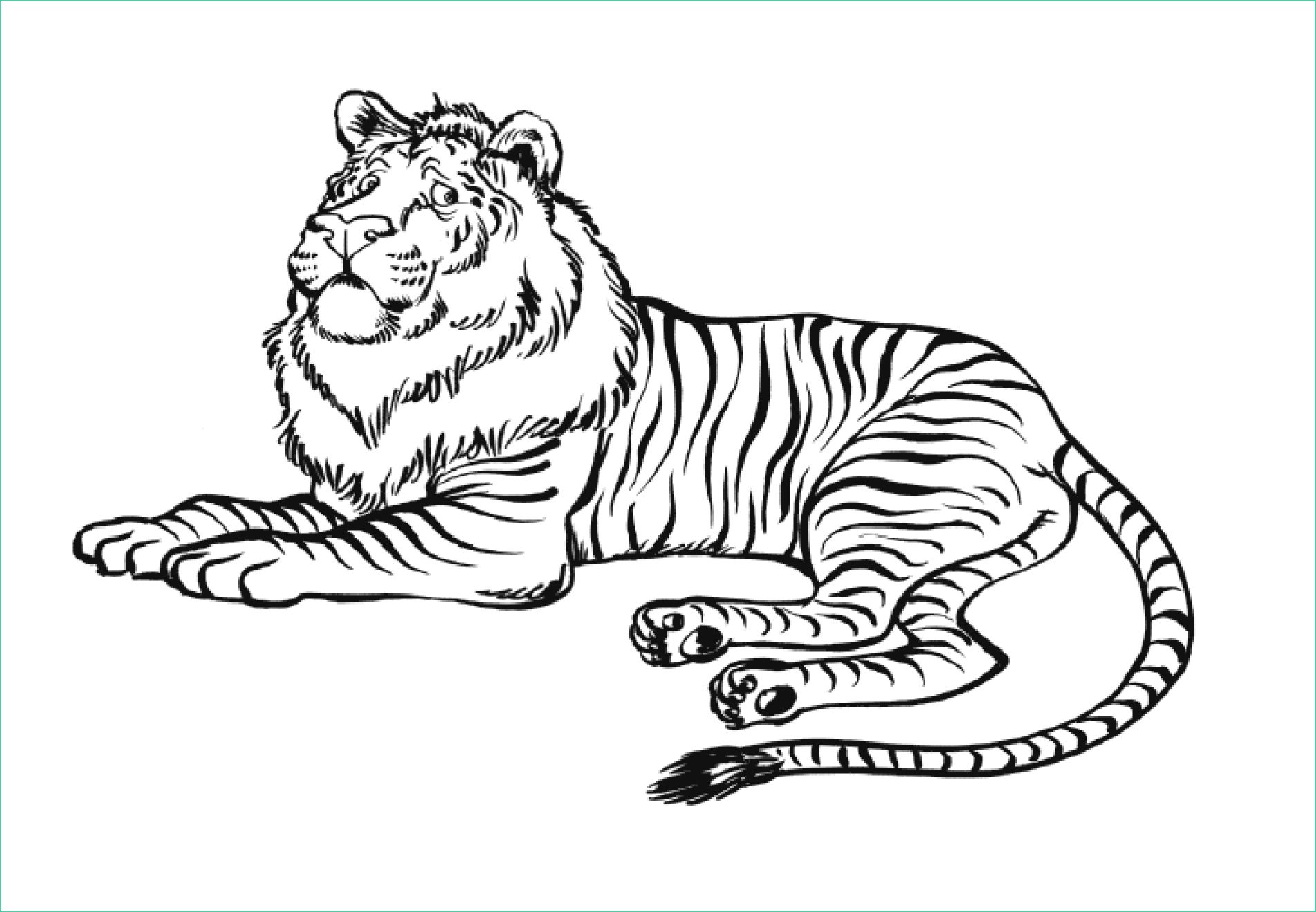frais coloriage en ligne tigre