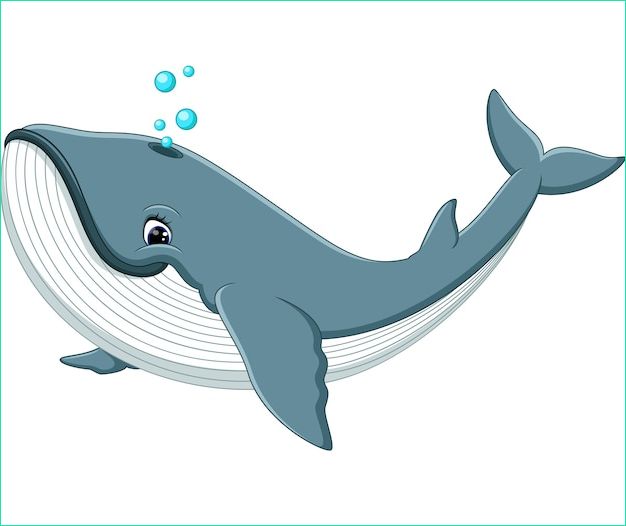 illustration cute whale cartoon