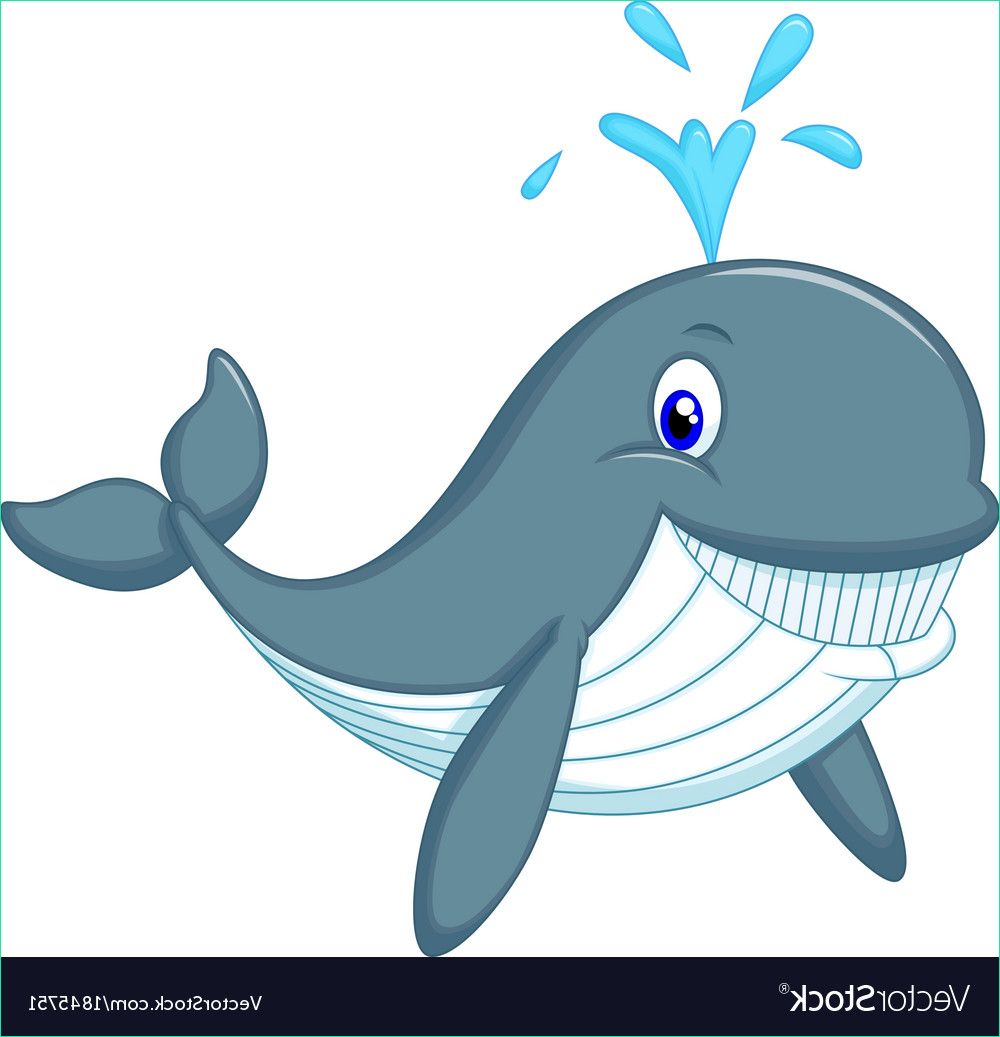 cute whale cartoon vector