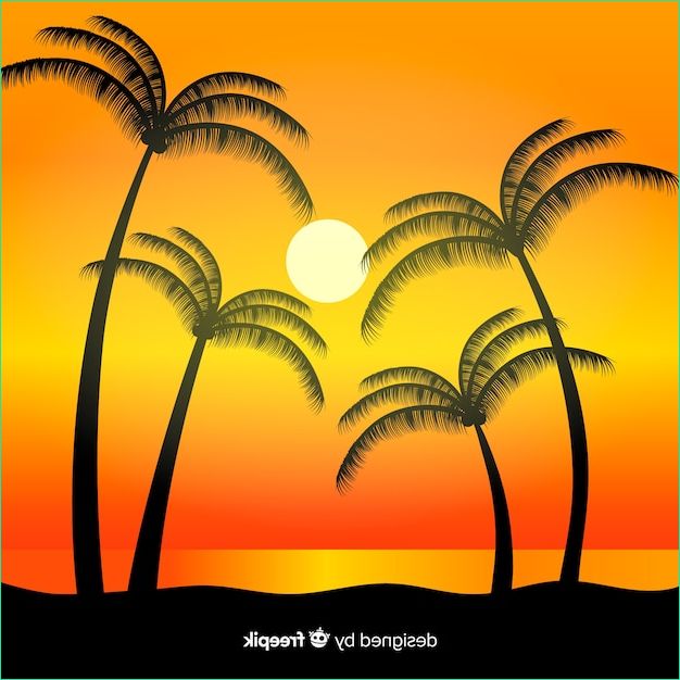 coucher soleil plage silhouettes palmiers