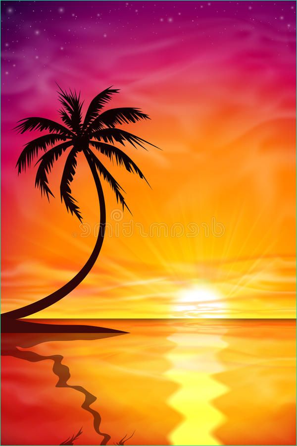 illustration stock coucher du soleil lever de soleil avec le palmier image