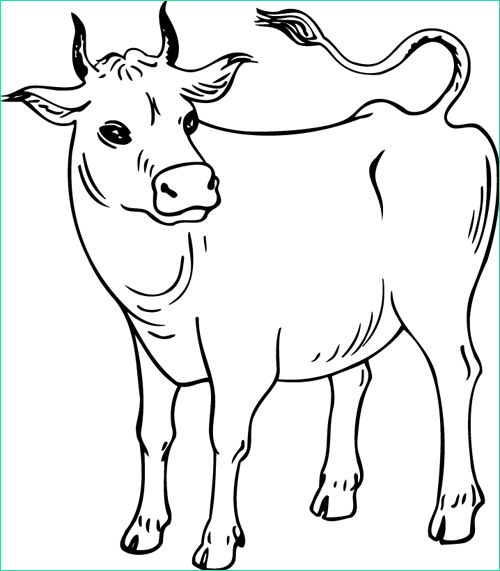 dessin a imprimer vache et veau