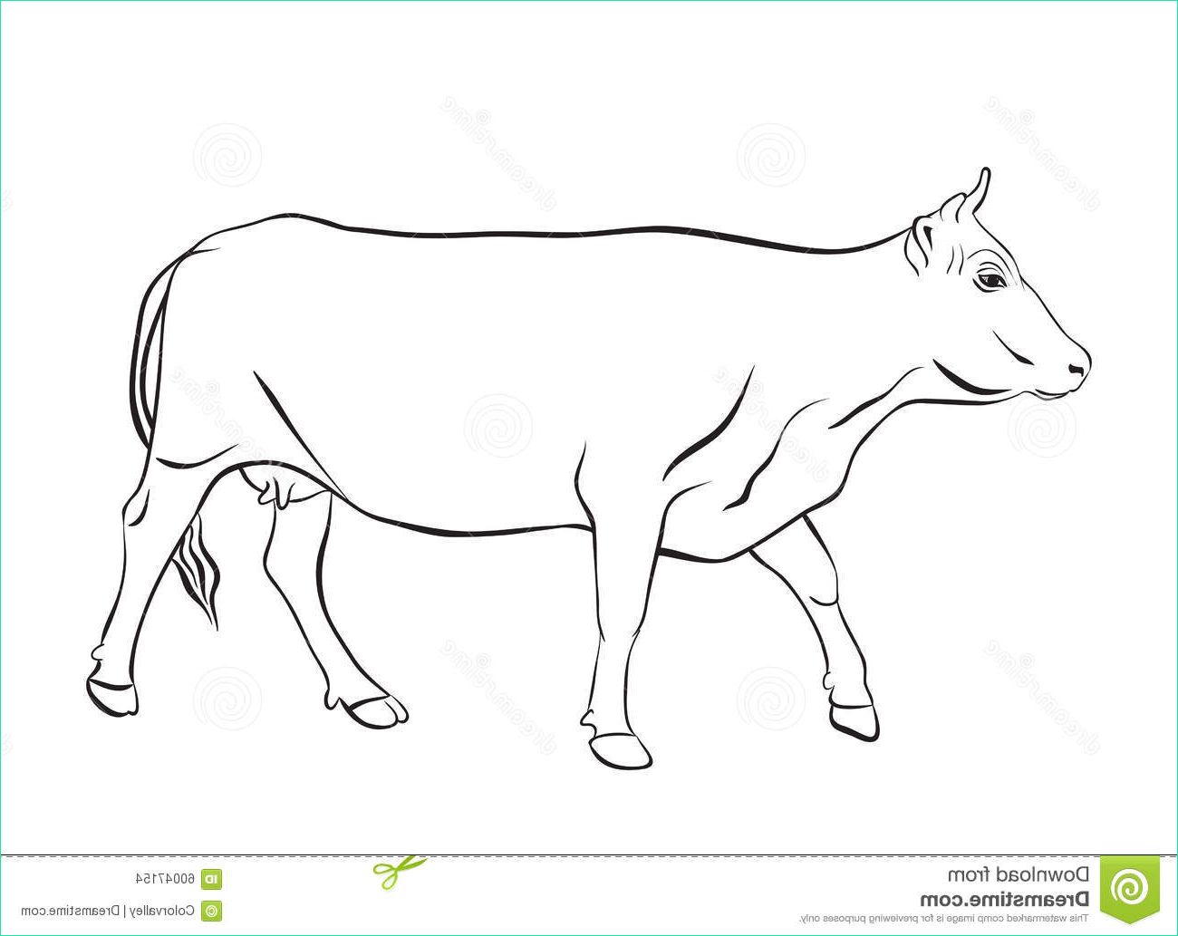 illustration stock dessin de vache avec la décoration d ornement floral image