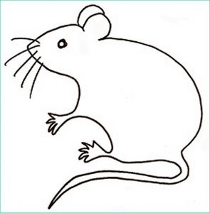 Dessiner Un Rat Beau Collection Coloriage Rat Maternelle Dessin Gratuit à Imprimer