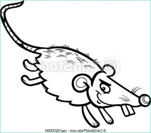 Dessiner Un Rat Beau Photographie Vecteurs Eps De Coloration Page Rat Dessin Animé souris Ou Noir