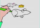 Dessiner Un Rat Impressionnant Photos Apprendre à Dessiner Une souris En 3 étapes