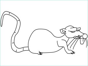 Dessiner Un Rat Luxe Photos Sélection De Coloriage Rat à Imprimer Sur Laguerche Page 1