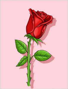 Dessiner Une Rose Facile Beau Photos Ment Dessiner Une Rose Avec Images Wikihow