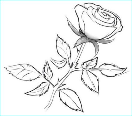 Dessiner Une Rose Facile Bestof Collection Ment Dessiner Une Rose Au Crayon Cours De Dessin Artacadémie Paris