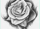 Dessiner Une Rose Facile Impressionnant Collection Ment Dessiner Une Rose 37 Idées & Tutos étapes Par étapes