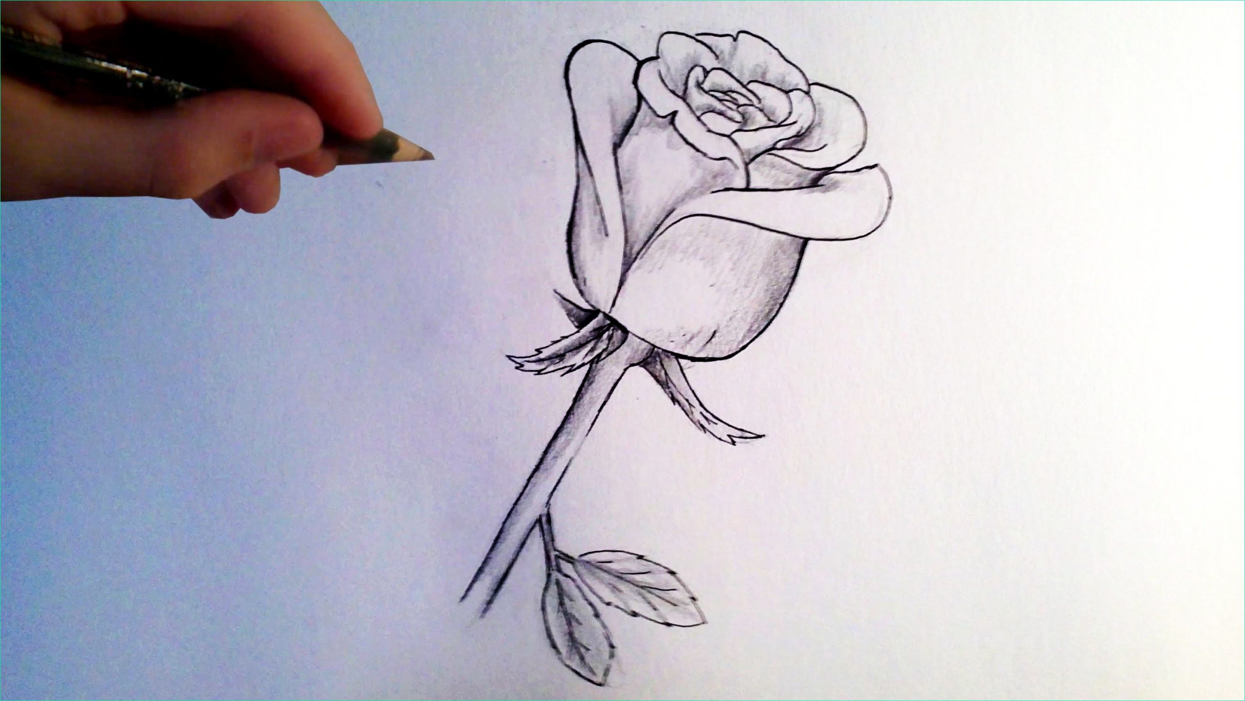 ment dessiner une rose