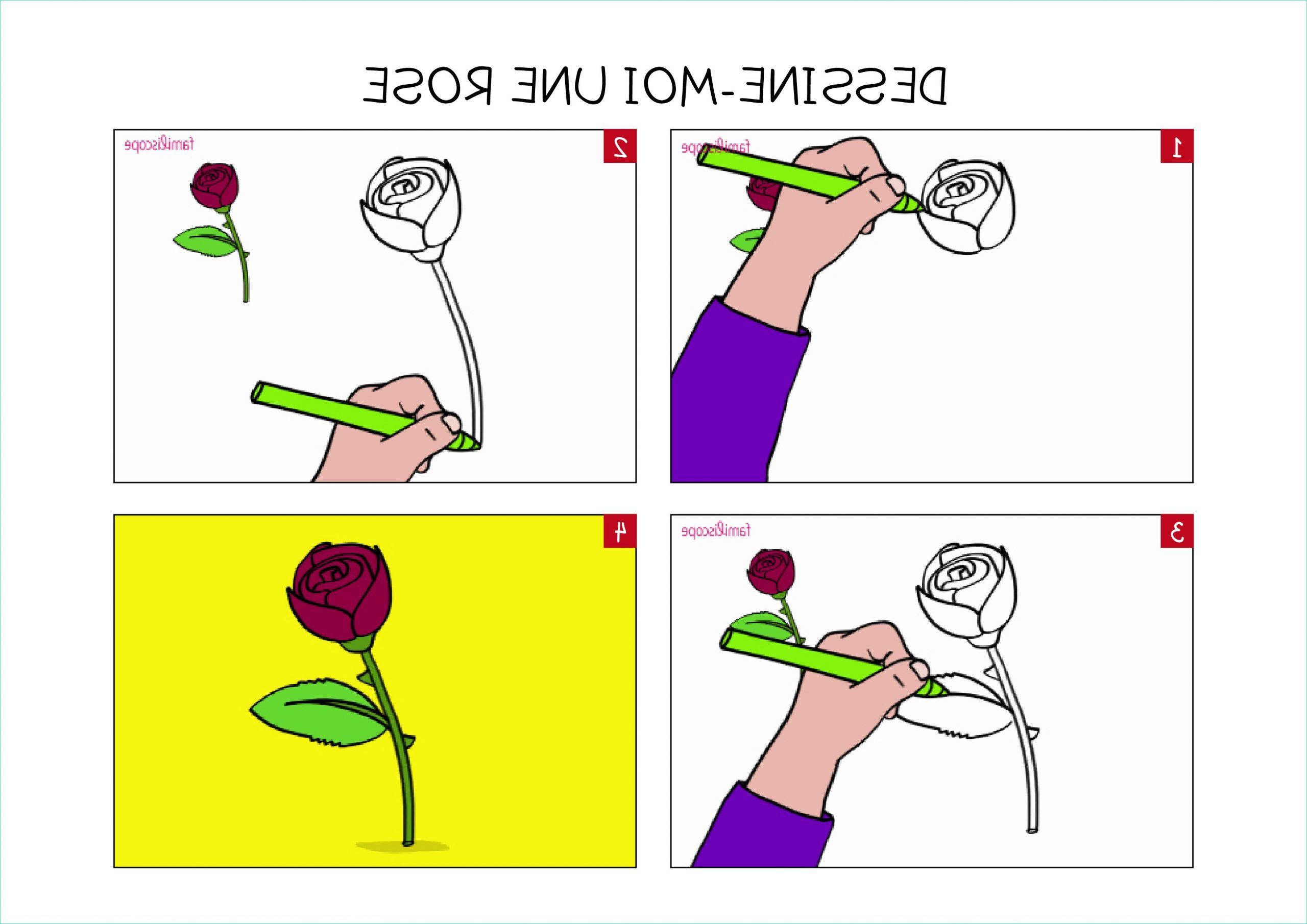 apprendre a dessiner une rose en 3 etapes