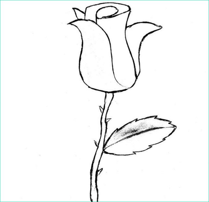 Dessiner Une Rose Facile Nouveau Image 1001 Modèles Et Conseils Pour Apprendre Ment Dessiner Une Rose