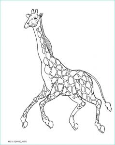 Girafe Coloriage Impressionnant Images Coloriages Girafe Coloriages Gratuits à Imprimer