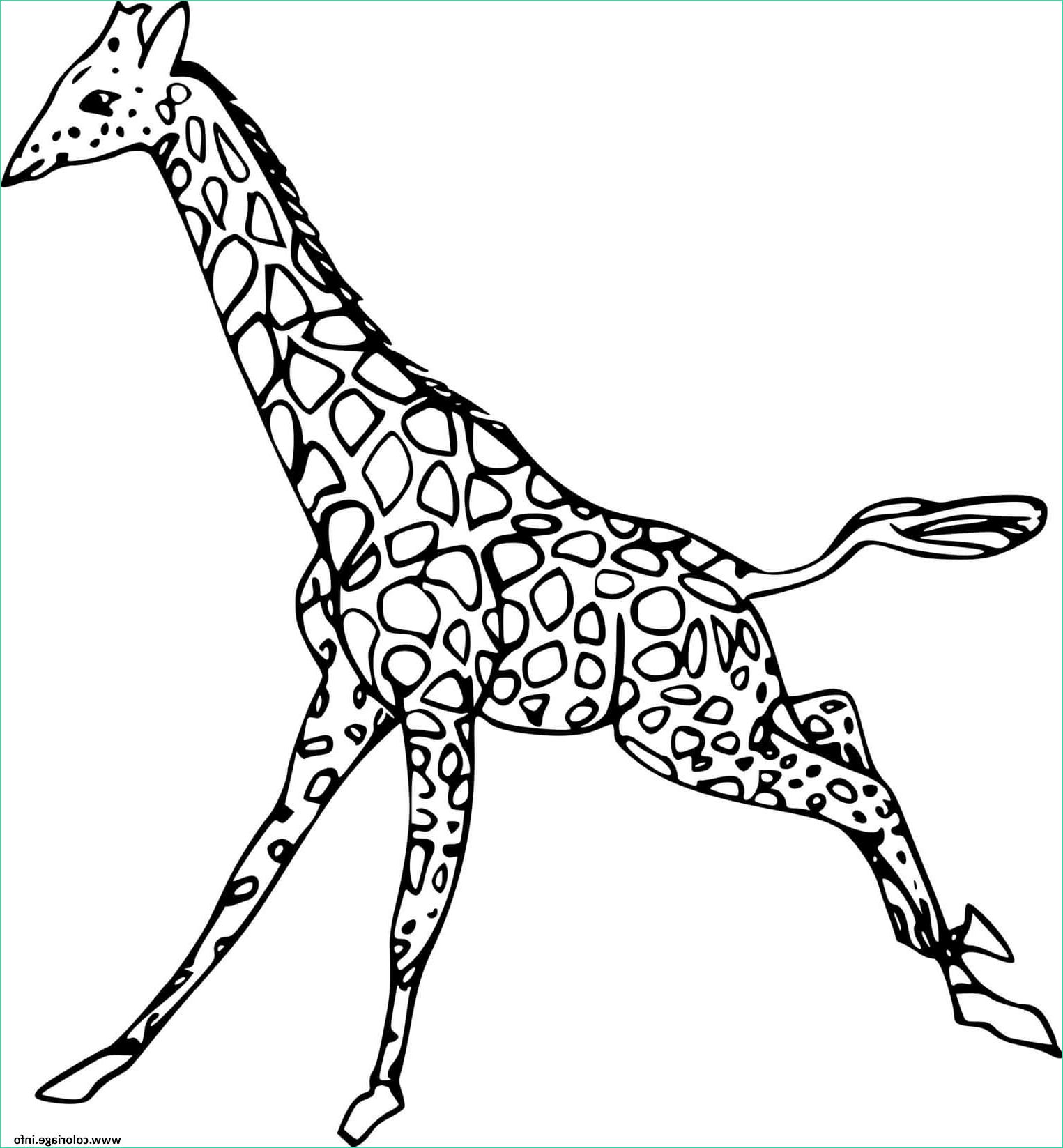 girafe qui court coloriage dessin
