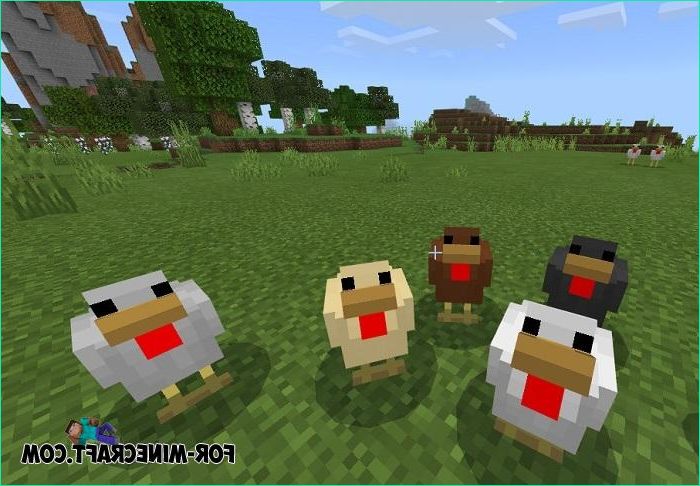Minecraft Poulet Beau Images More Chickens Addon for Minecraft Pe 1 12 X