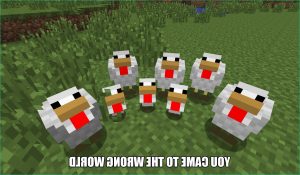 Minecraft Poulet Nouveau Images Minecraft Chickens by Carlos2295 On Deviantart