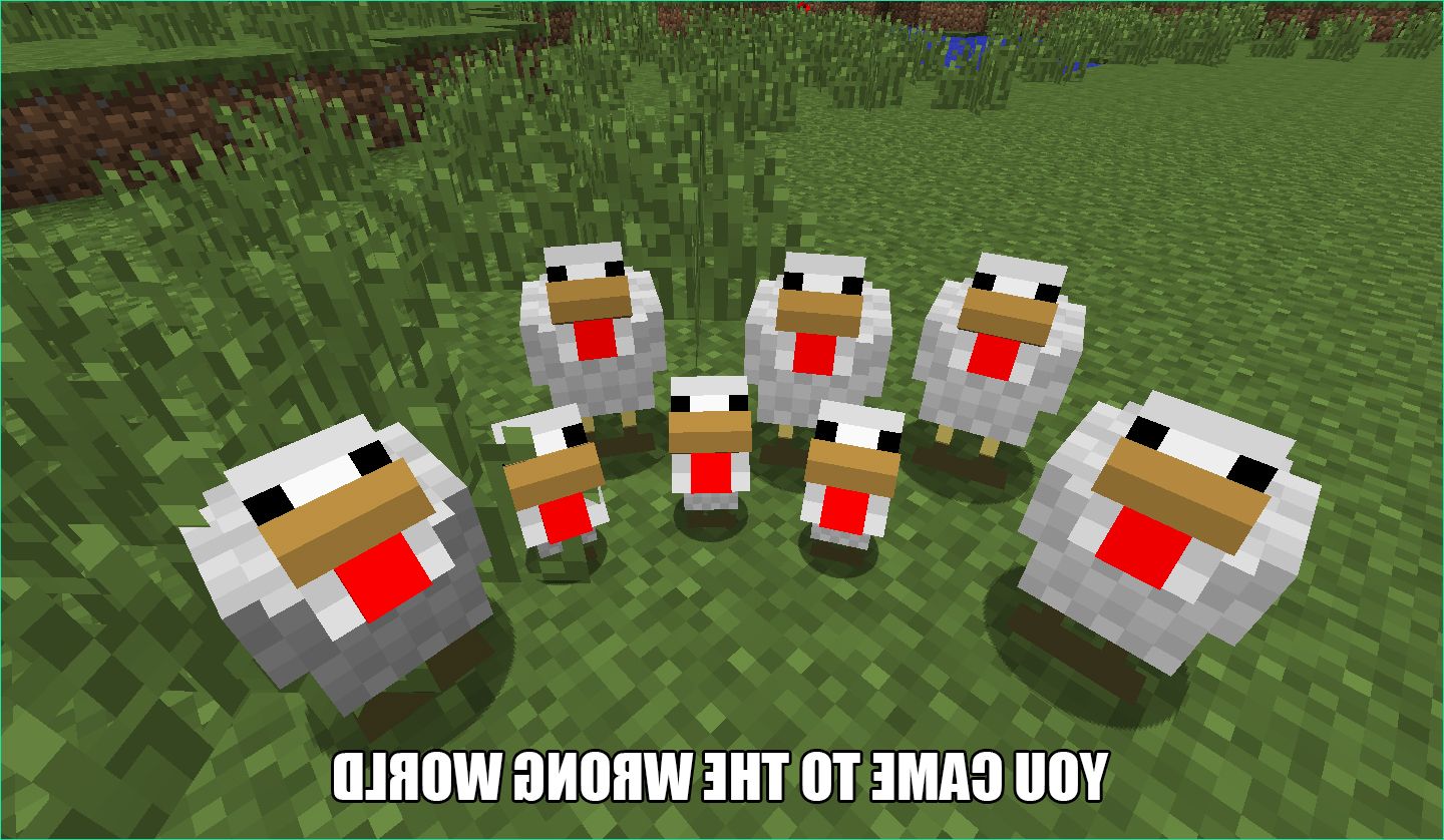 Minecraft Chickens