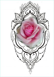 Rose Mandala Cool Photographie Chloe – “mandala Rose” Design – New Identity Tattoos