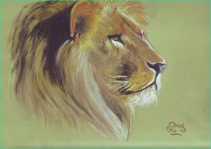 Dessin Couleur Lion Élégant Galerie Dessin Lion Crayon Par Heather Rooney