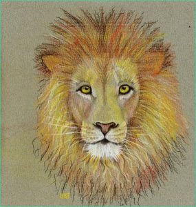 Dessin Couleur Lion Unique Collection Leo Crayon De Couleur Croquis D Un Lion original Art