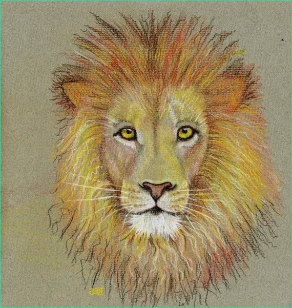 leo crayon de couleur croquis dun lion