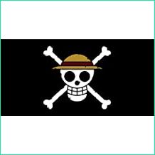 s ie=UTF8&page=1&rh=i:aps,k:one piece drapeau pirate