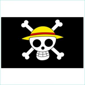 Drapeau Pirate One Piece Impressionnant Photos E Piece – Grand Drapeau Pirate Luffy